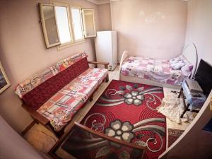 Room in Apartment - Best Price In Downtown, Walk Everywhere