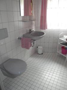 a bathroom with a toilet and a sink at Ferienwohnung Bauer in Bad Herrenalb