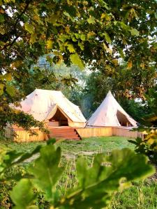 due tende in un campo con alberi in primo piano di Cowcooning / Family tents a Huldenberg