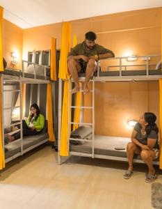Palanda nebo palandy na pokoji v ubytování Whoopers Hostel Bir