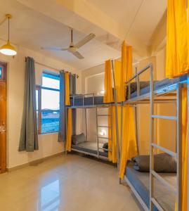 Palanda nebo palandy na pokoji v ubytování Whoopers Hostel Bir