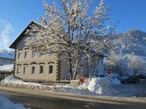 a tree covered in snow in front of a house at Allgäu Spirit in Immenstadt im Allgäu