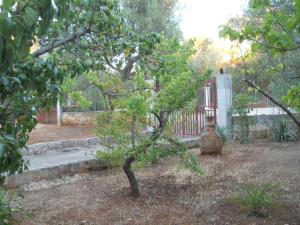A garden outside Rifugio Fulieri in Salento