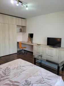 een slaapkamer met een bed, een bureau en een televisie bij Peaceful Loft in Boekarest