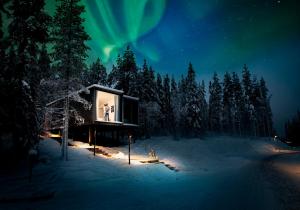 um quarto com uma janela numa floresta com luzes do norte em Arctic TreeHouse Hotel em Rovaniemi