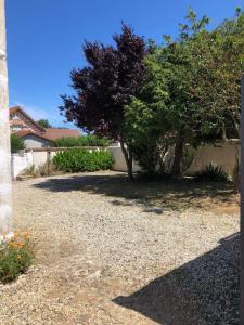 a tree sitting next to a building with a gravel driveway at La maison de la plage, à 350m de la mer, jardin in Asnelles
