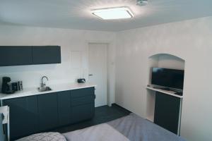 Il comprend une cuisine avec un évier et une télévision murale. dans l'établissement Apartment Haus Inge, à Dürrröhrsdorf