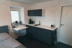 Cette chambre comprend une cuisine avec un évier et un lit. dans l'établissement Apartment Haus Inge, à Dürrröhrsdorf 3 autres photos