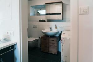 une salle de bain avec un lavabo et des toilettes dans l'établissement Apartment Haus Inge, à Dürrröhrsdorf