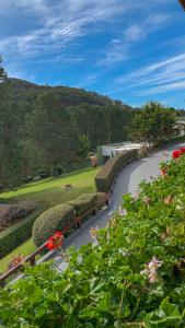 a winding road with bushes and flowers on the side at Hotel Saint Michel in Monte Verde