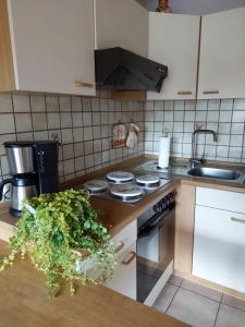 Una cocina o zona de cocina en Ferienwohnung Meißner