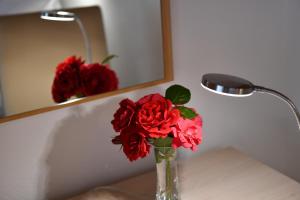 Fotografie z fotogalerie ubytování House Marija B&B v destinaci Seliste Dreznicko