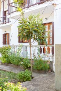 Um jardim em Platanakia