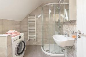 ein Badezimmer mit einer Waschmaschine und einem Waschbecken in der Unterkunft Apartments Fine Stay Slovenia in Žirovnica