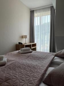 a bedroom with a large bed and a window at Aparthotel Apartamenty Czarna Góra 417 in Sienna
