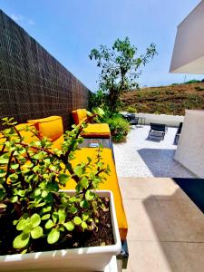 ロス・レアレホスにあるEl Drago Apartment, Amazing Ocean & Cliff Viewの鉢植え