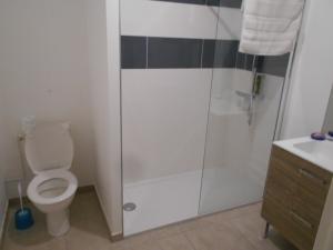La salle de bains est pourvue d'une douche, de toilettes et d'un lavabo. dans l'établissement Résidence l'estrade, à Dunkerque