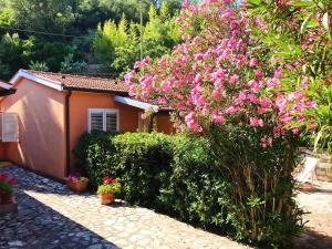 リオ・マリーナにあるAppartamenti Annaのピンクの花の木のある家