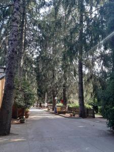 Zahrada ubytování Agriturismo Iacchelli Armando B&B