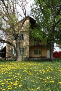 a house with a field of flowers in front of it at Дом Жени и Люды in Zhabagly