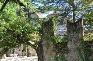 Fotografie z fotogalerie ubytování Schloss Englar v destinaci Appiano sulla Strada del Vino