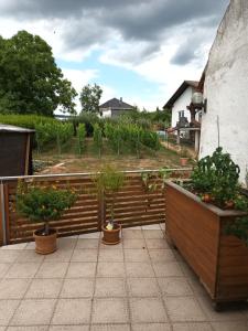 a patio with three potted plants on a fence at Ferienwohnung Stockemer Haecke in Stockheim