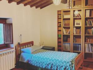 普拉托韋基奧的住宿－Castello di Urbech，一间卧室设有一张床和一个书架