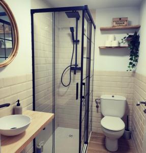 a bathroom with a shower and a toilet and a sink at Apartamentos La Casa del Maestro in Alhama de Aragón