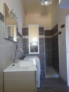 une salle de bain avec lavabo et douche dans l'établissement Maison de village avec cour intérieure et terrasse, à Septfonds 11 autres photos