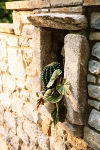 Fotografie z fotogalerie ubytování Archontiko Epirus 1 v destinaci Mouresi