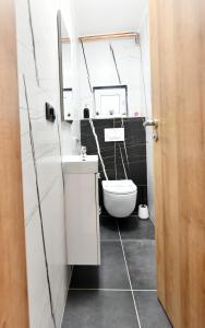 een badkamer met een wit toilet en een wastafel bij Apartmani Brium in Rakovica