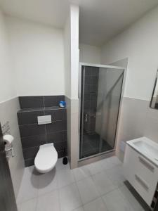 La salle de bains est pourvue de toilettes et d'une douche en verre. dans l'établissement Penzion TOŠA, à Klášterec nad Ohří