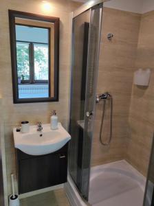 a bathroom with a shower and a sink and a shower at Willa Lano in Biały Dunajec
