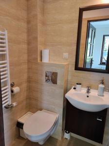 ビャウィ・ドゥナイェツにあるWilla Lanoのバスルーム(トイレ、洗面台、鏡付)