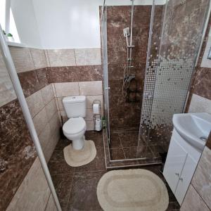 Kúpeľňa v ubytovaní Hanna Villa Siófok