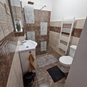 Kúpeľňa v ubytovaní Hanna Villa Siófok