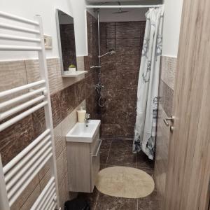 Kúpeľňa v ubytovaní Hanna Villa Siófok