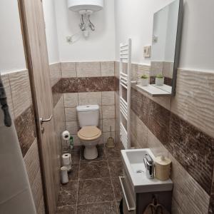 Kúpeľňa v ubytovaní Hanna Villa Siófok