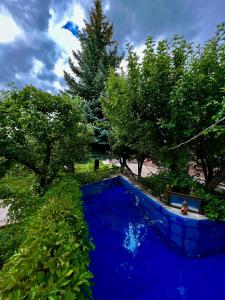 ein blauer Pool in einem Garten mit Bäumen in der Unterkunft Apple Tree Family Home (ECO) in Dzorakap