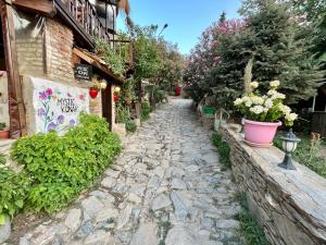 eine Kopfsteinpflasterstraße mit Topfpflanzen und einem Gebäude in der Unterkunft Mystic Konak in Selçuk