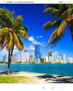 zwei Palmen am Strand vor einer Stadt in der Unterkunft Luxury mansion with pool jacuzzi BBQ for ultimate scape in Tamiami