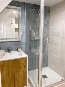 La salle de bains est pourvue d'une douche, d'un lavabo et de toilettes. dans l'établissement Appartement au centre de Toulouse, à Toulouse