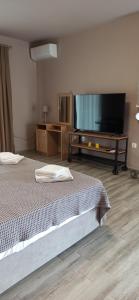 a bedroom with two beds and a flat screen tv at Vot villas in Ormos Panagias