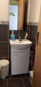 bagno con lavandino, servizi igienici e specchio di Kuća za odmor Una a Dvor
