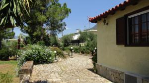 A garden outside Sea La Vie