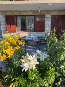 Zahrada ubytování Apartmani I & J Šerić