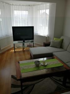 Televízia a/alebo spoločenská miestnosť v ubytovaní Apartmán Raduška
