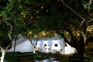 a group of tables and chairs under trees at night at La Casa sul Faro in Procida