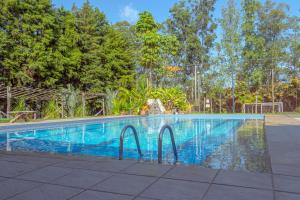 una piscina en un patio con árboles en Pousada DuBaldo en Holambra