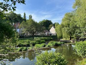 a river in a village with houses and trees at Maison cosy en plein centre ville in Semur-en-Auxois